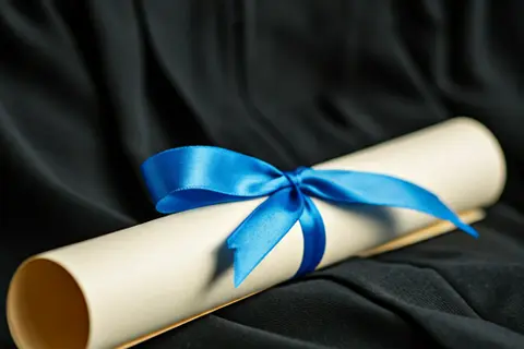 Higher education bachelor degree - University