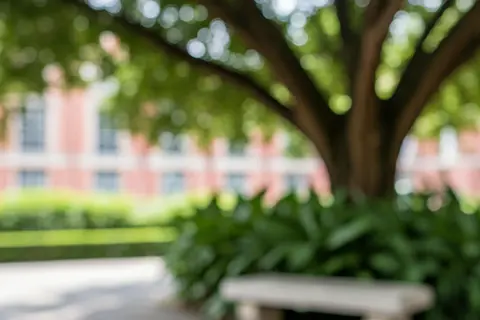 General secondary education - High school