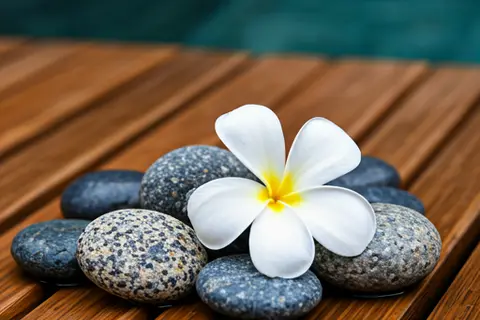 Massage education - Thai massage training school