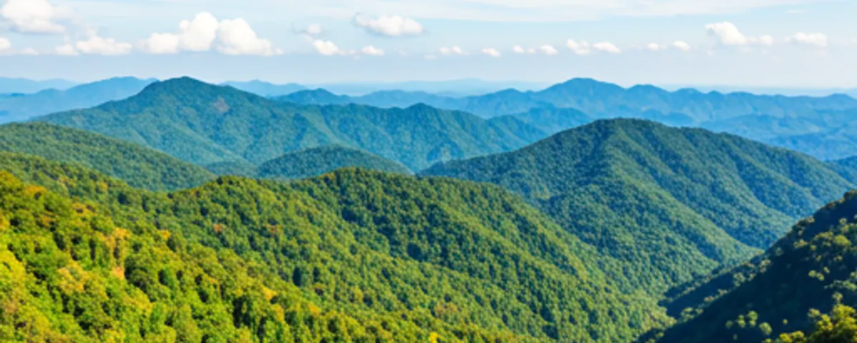 Chanthaburi Province, Thailand - registered companies and business directory